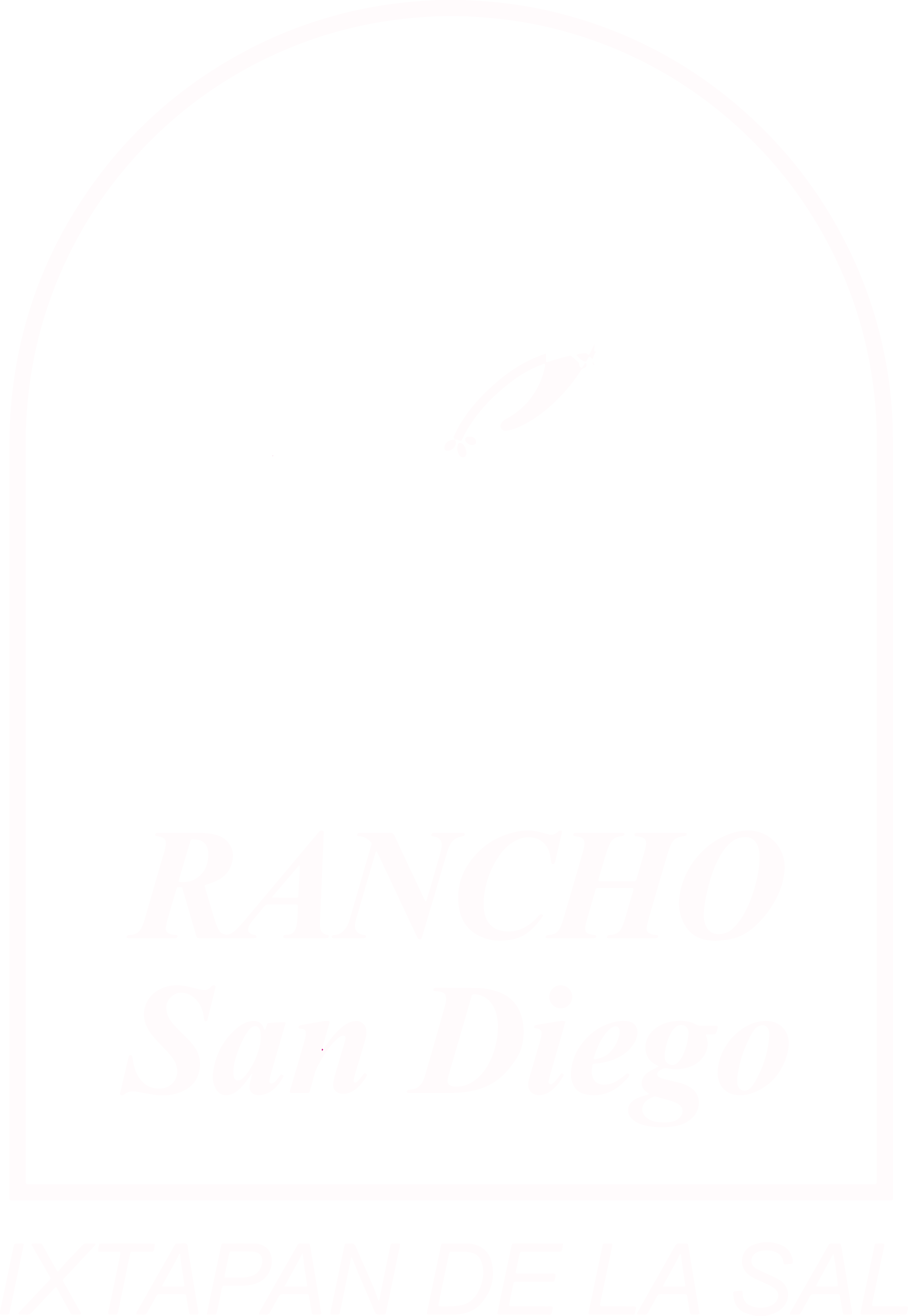Logo RSD Blanco
